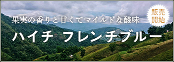 ϥե֥롼